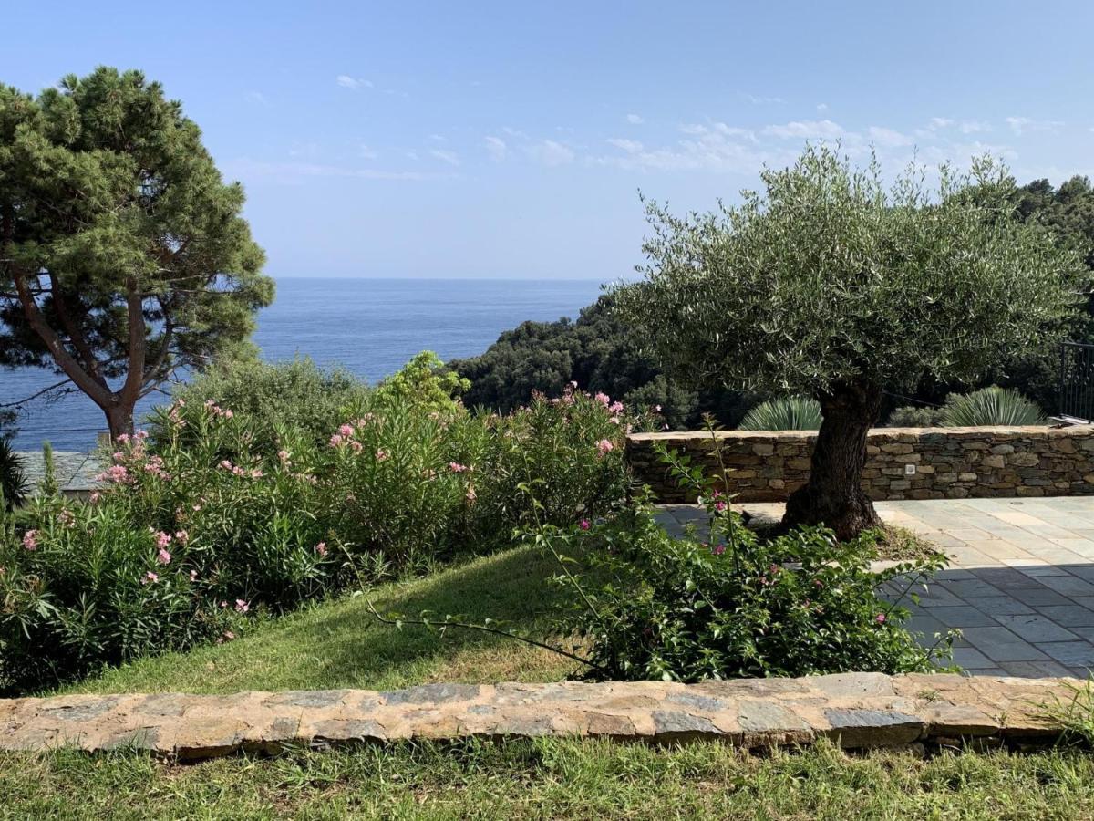 Villa Prestige U Scogliu- Erbalunga Brando Exterior foto