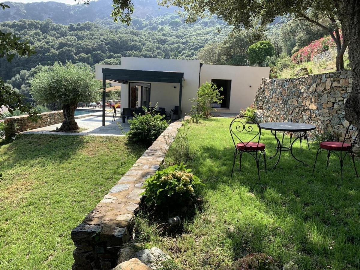 Villa Prestige U Scogliu- Erbalunga Brando Exterior foto